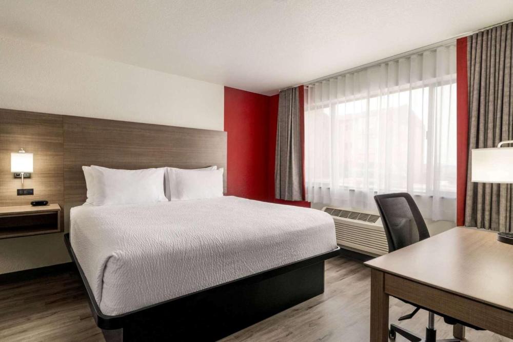 King Suite with One King Bed - Separate Building/Non-Smoking interior